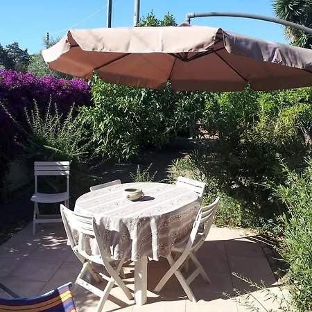 Bouganvillea Noto