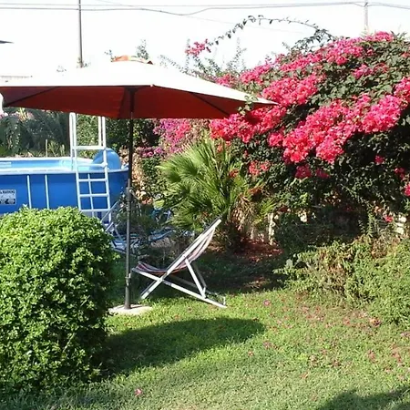 Bouganvillea