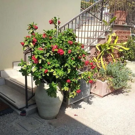 Bouganvillea Couette-café